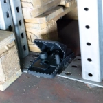 T Rex on storage