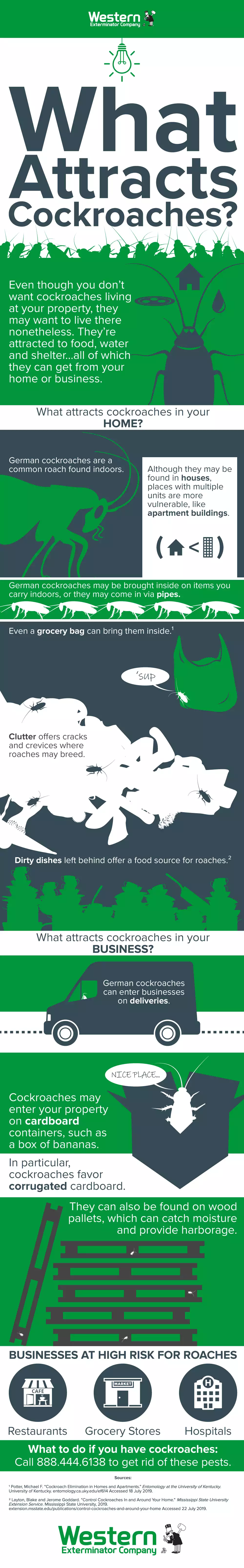 Infographic titled what attracts cockroaches