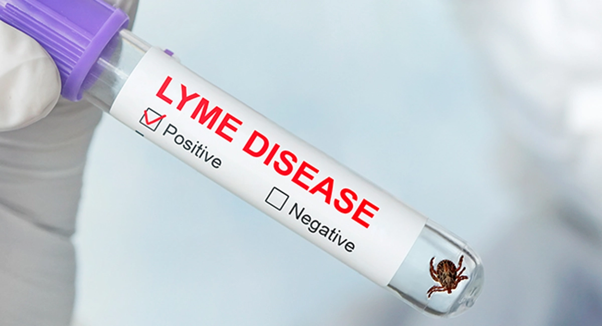 tick in a test tube