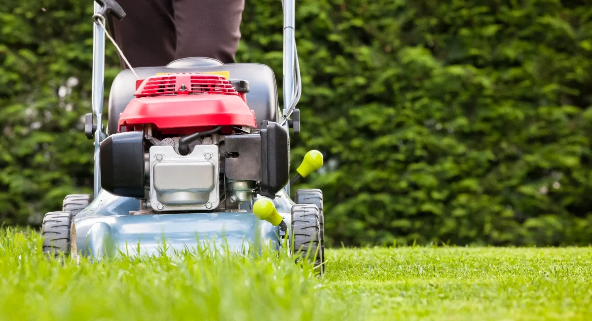 lawn mower cutting grass