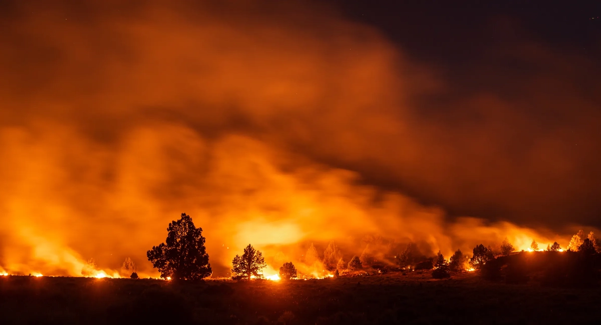 Wildfires in California