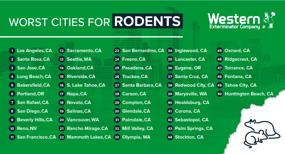 top rodent infested cities