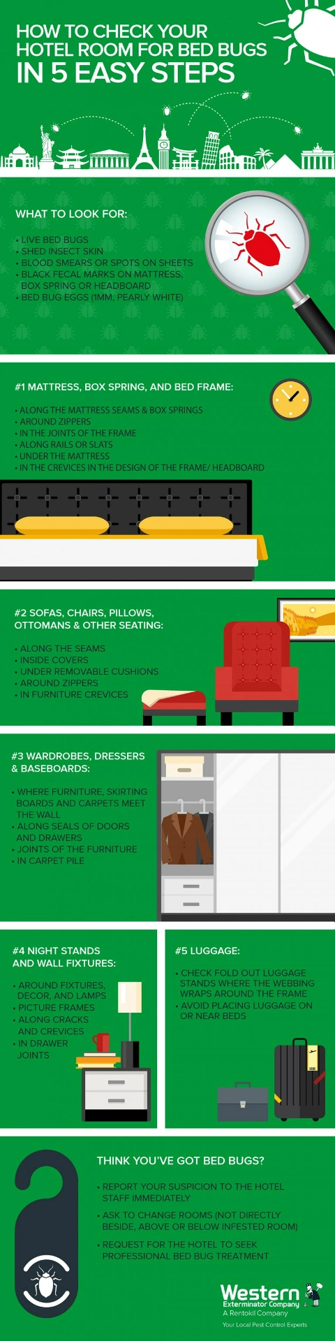 Bed bug signs infographic