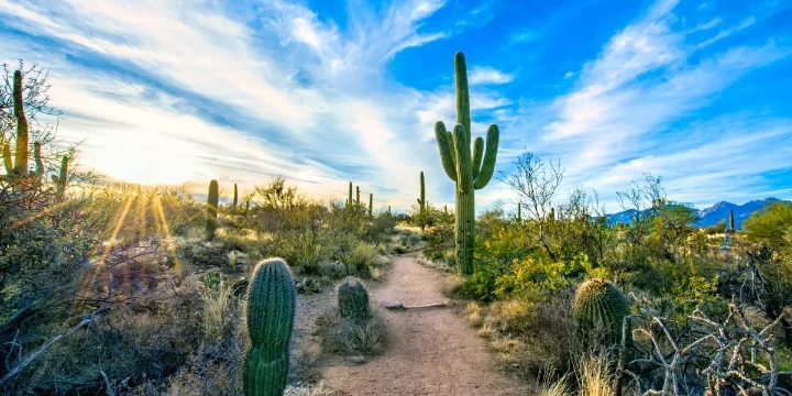 Arizona 