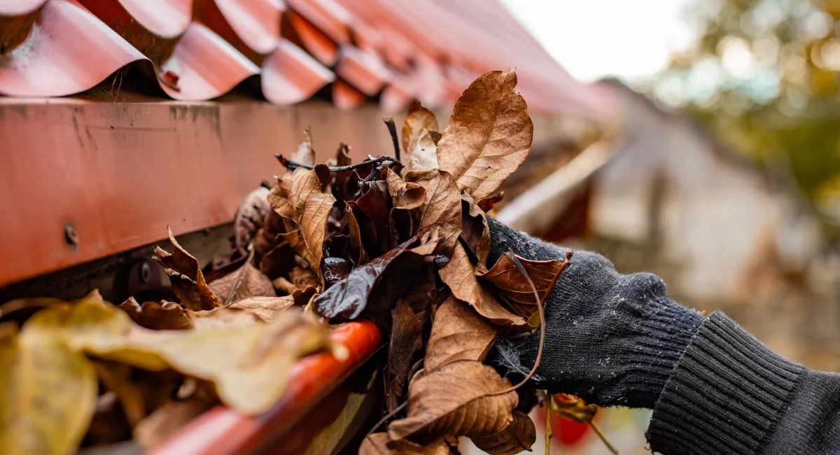 A hand cleaning leaves off a gutter
