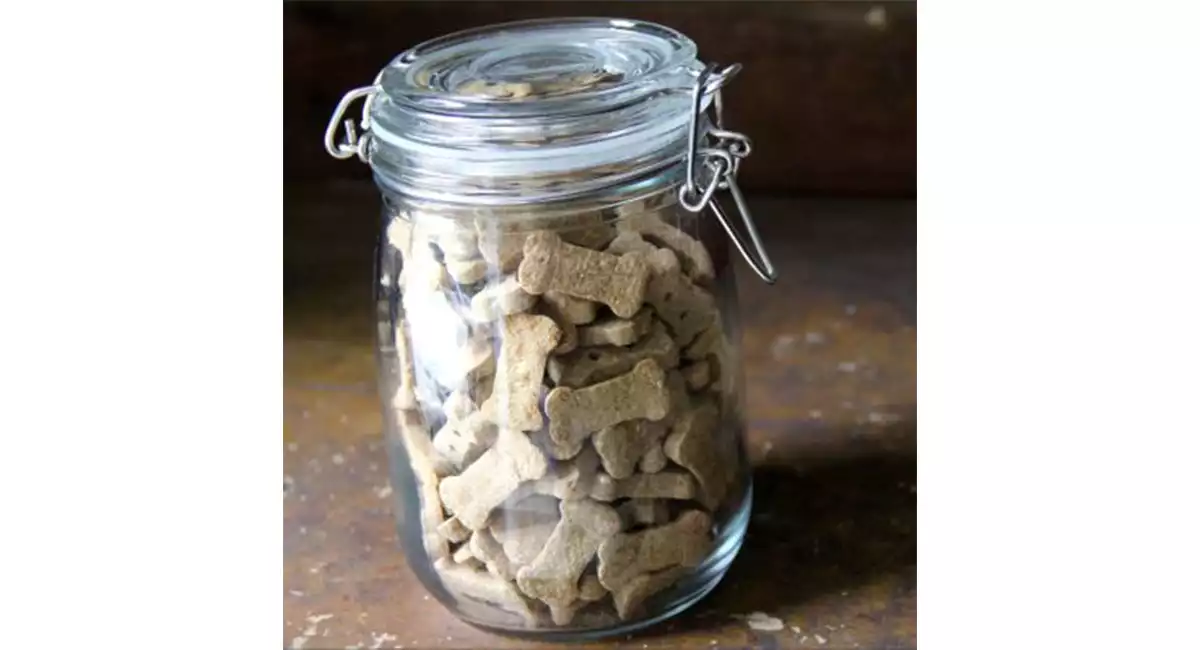get rid of arizona cockroaches in winter