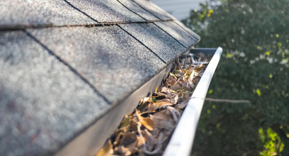 A gutter filled with leaves in need of cleaning