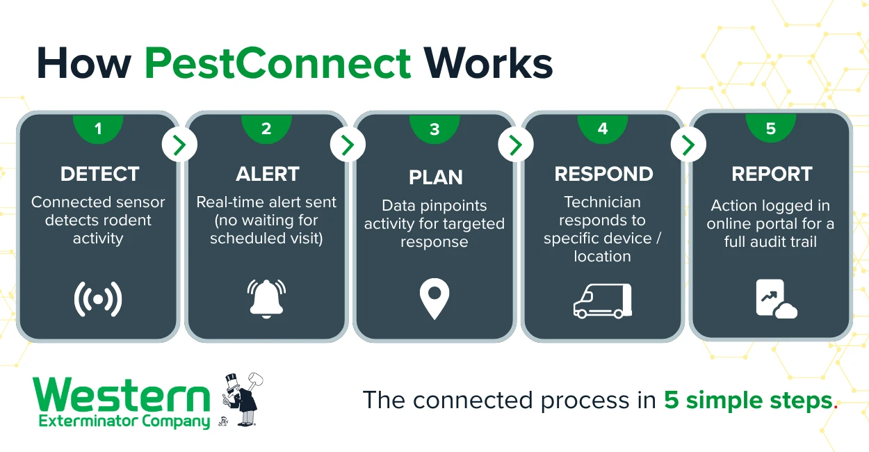 Infographic titled "How PestConnect Works" illustrating a 5-step connected pest control process by Western Exterminator.