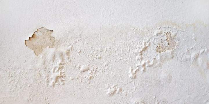 peeling paint due to damp water leak