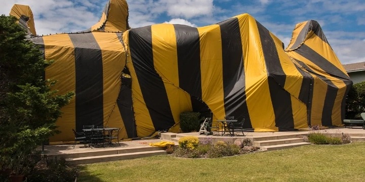 how to prepare for fumigation