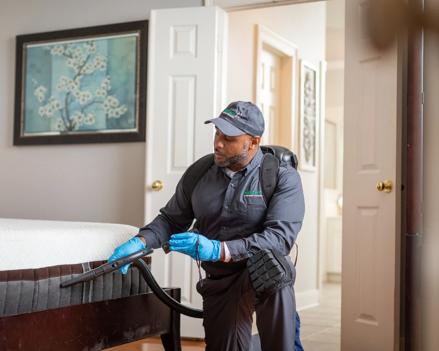 Western colleague checking for bed bugs 