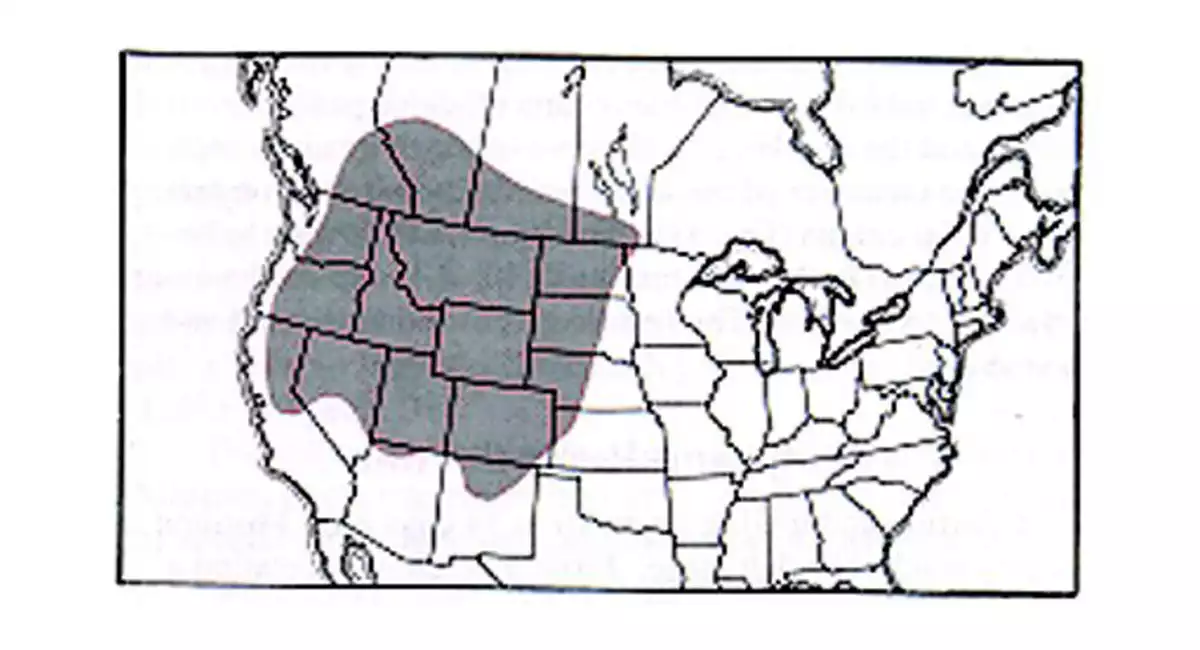Black and white map of the United States with the western states highlighted in grey