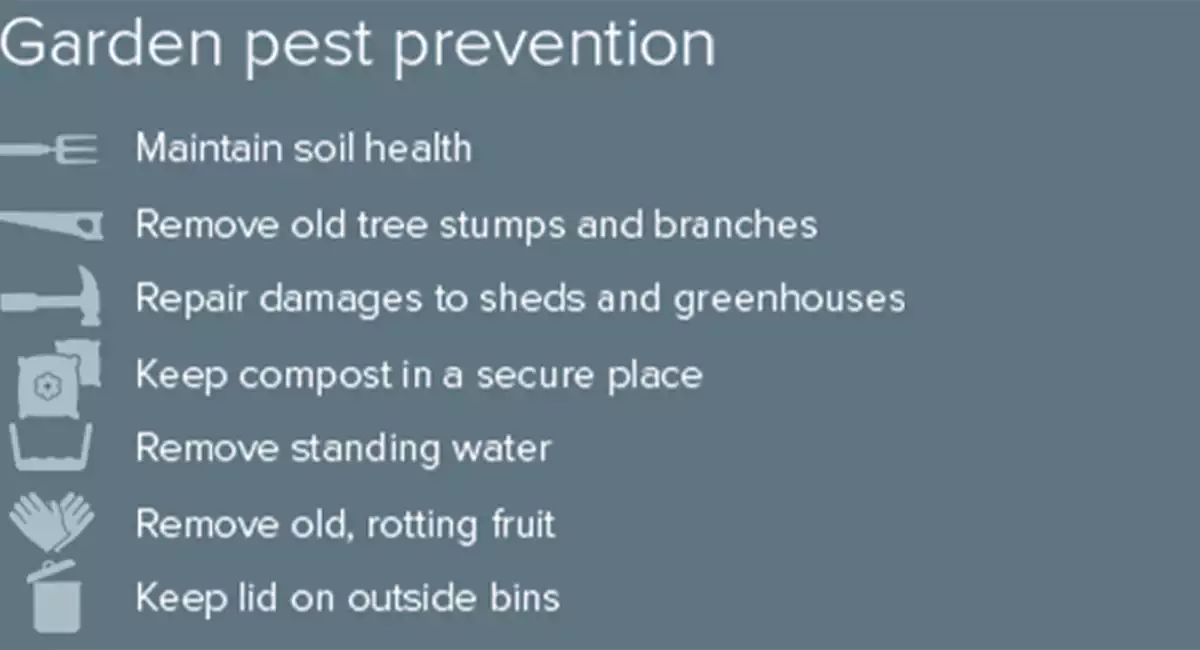 garden-pest-prevention