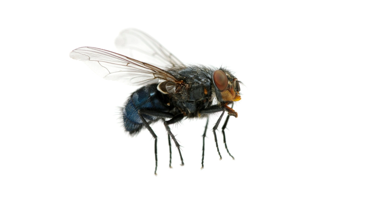 ThinkstockPhotos-187004047