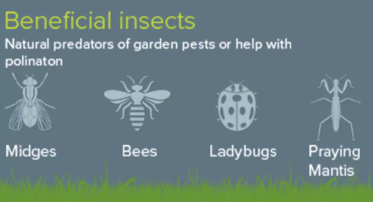 Beneficial garden pests