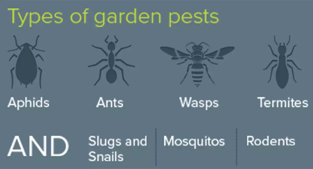 types of garden pests