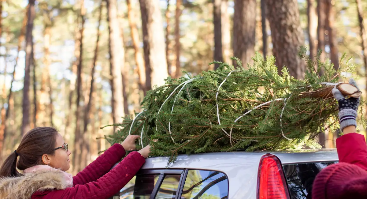 Christmas tree