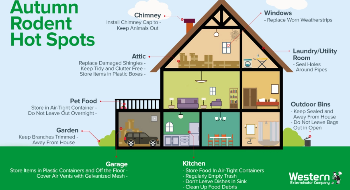 Autumn rodent hot spots