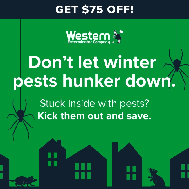 Save $75 with the cyber sale exclusive 