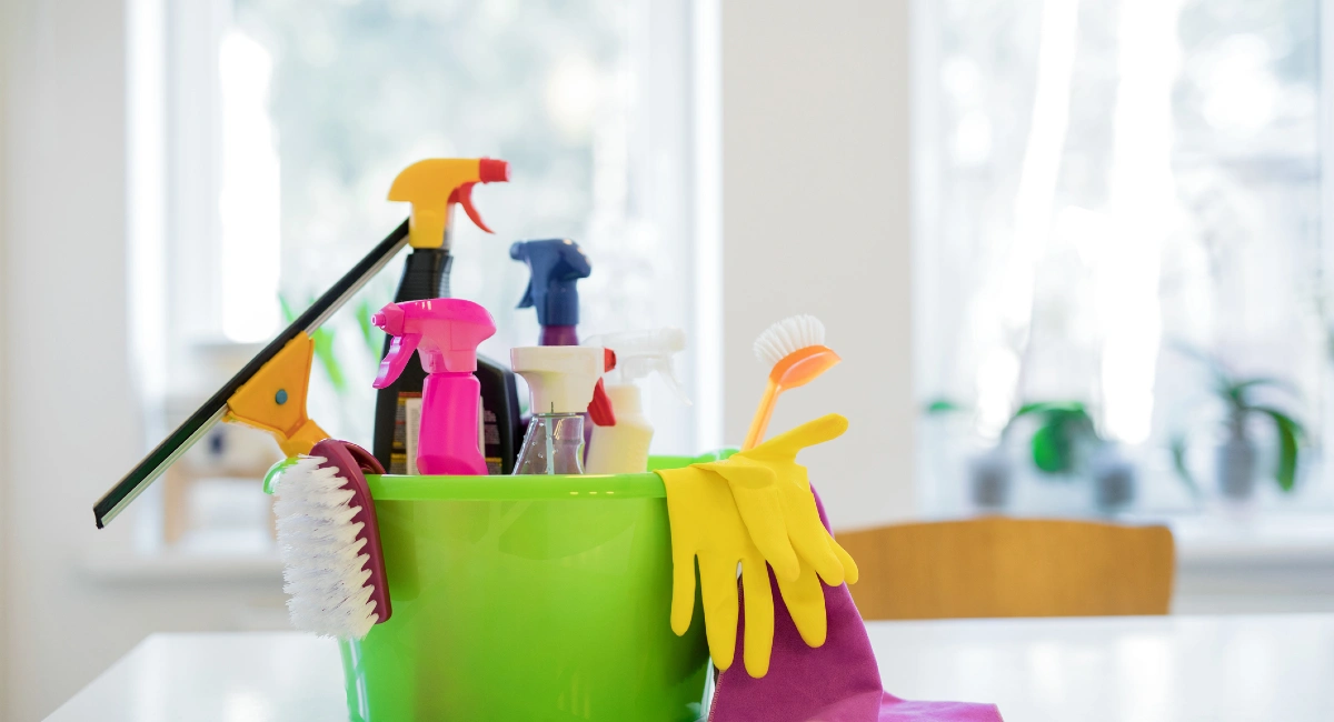 cleaning supplies - get rid of flying cockroaches 
