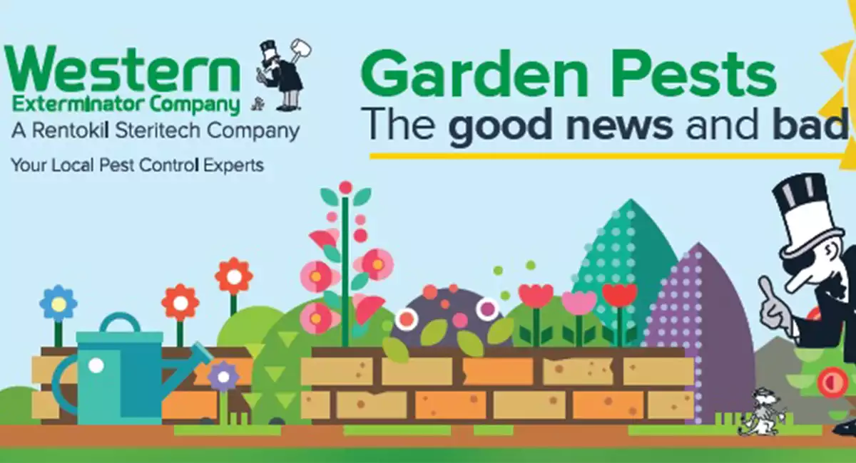 Good and bad new of garden pests
