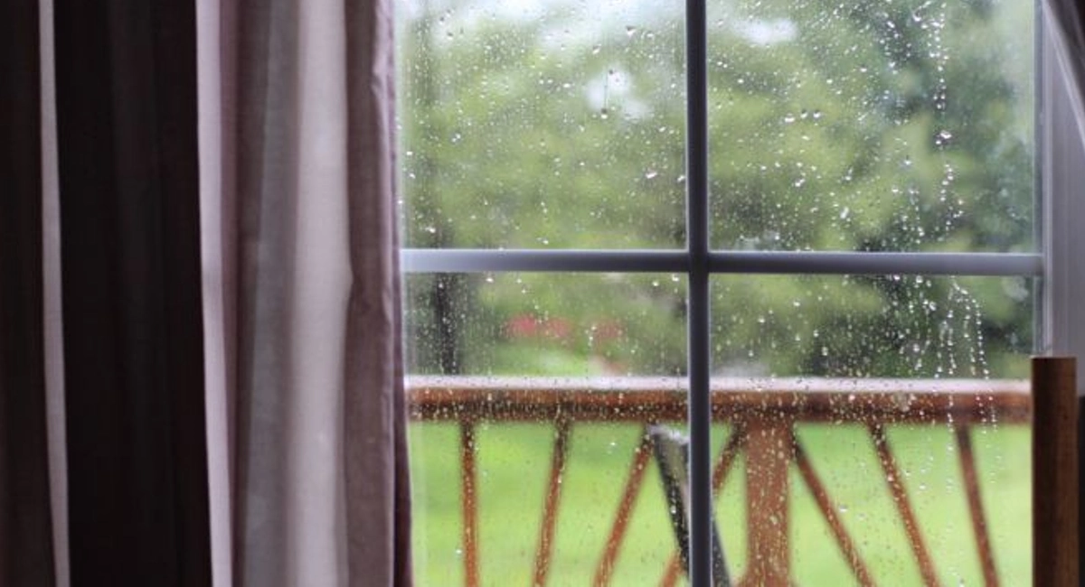 View through a window with curtains surrounding it of a green backyard while it is raining.